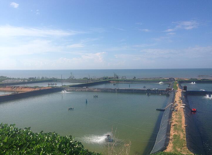 两布一膜布膜如何分布可以满足工程需要?