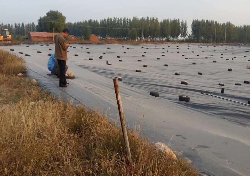 什么是hdpe防渗膜?它有什么优点?