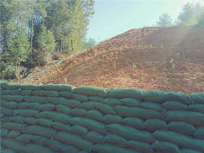 1-22032Q02624961.jpeg 1-22032Q02624961.jpeg