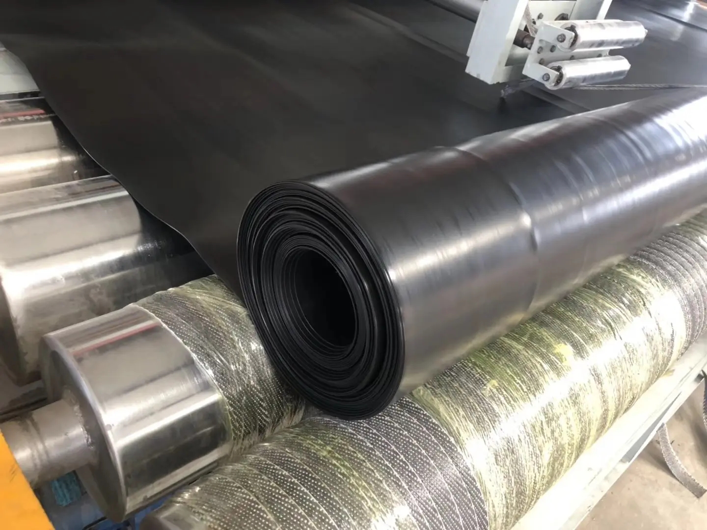 1.webp.jpg 1.webp.jpg