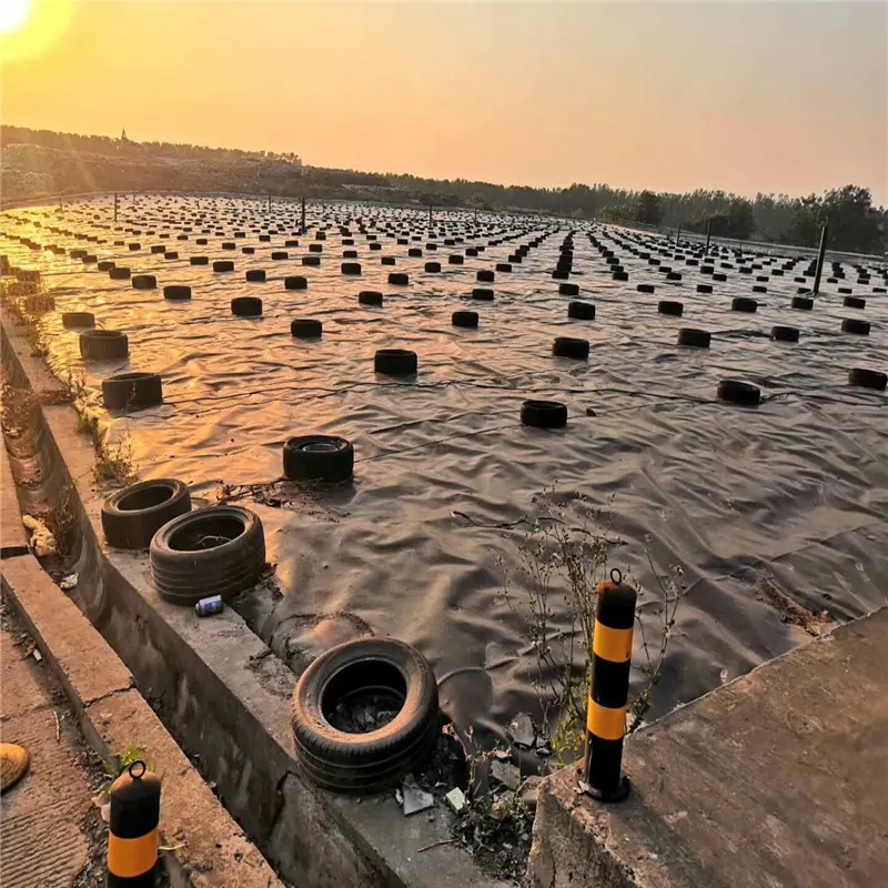 78.webp.jpg 78.webp.jpg